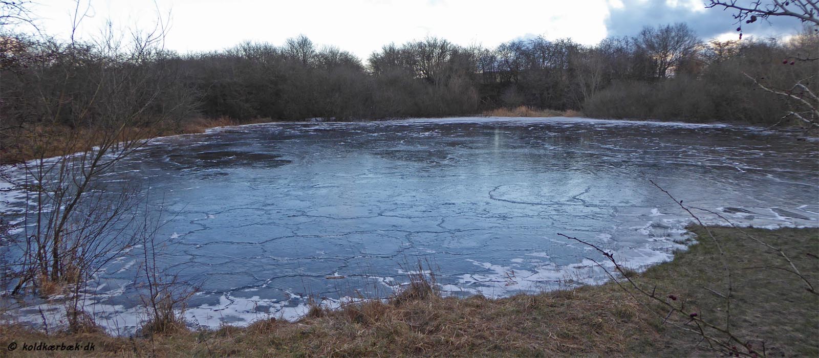Ved Bildbjerg i Vestereng ligger en meget dyb sø. Den ser hverken ud til at have tilløb, eller afløb til Koldkær Bæk, som løber ca. 200 m. fra søen. I maj måned kan søen være et mylder af haletudser. Søens flora og fauna vil snarest blive undersøgt nærmere. Det vil ikke undre, hvis Bildbjerg Sø indeholder nogle interessante arter. Ligeledes kan det være spændende at undersøge hvordan søen er dannet. Muligvis er den gravet i forbindelse med ler til teglproduktion eller mergel til kalkning af markerne ? 6-1-2016 